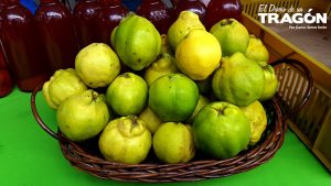 Colores y Sabores de Jalisco