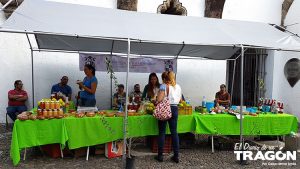 Colores y Sabores de Jalisco