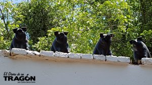 los mitotes de maría