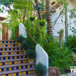 Casa de MIta