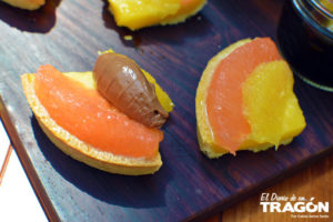 Guía Gastronómica Sabores de Tequila