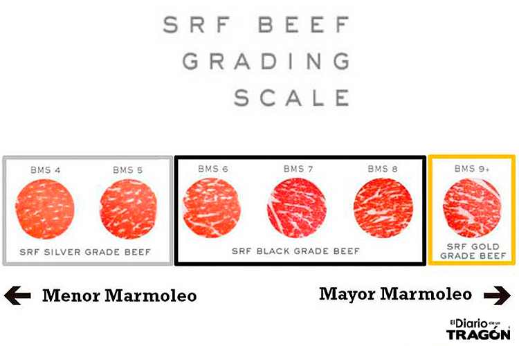 Wagyu Americano