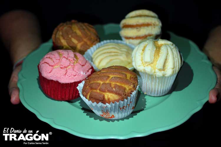 Manteconchas