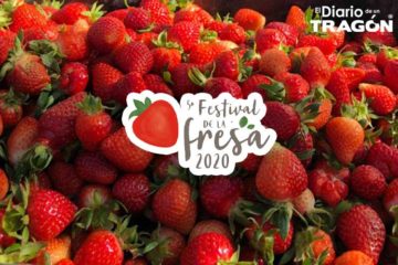 Festival de la Fresa
