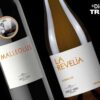 Bodegas Emilio Moro