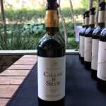 Ribera del Duero