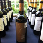Ribera del Duero