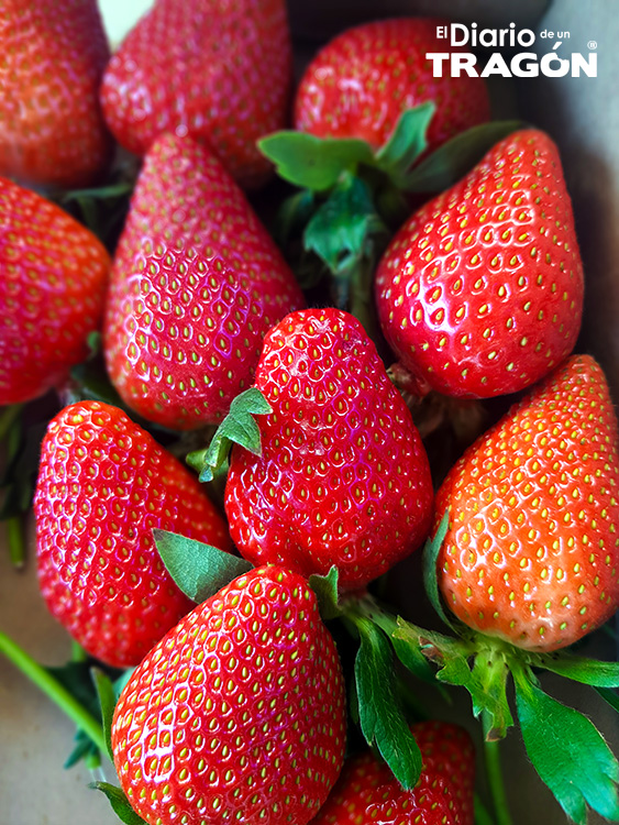 Berries