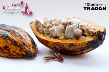 Datos curiosos del cacao
