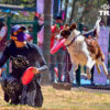 Mundo Animal