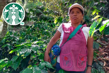 mujeres de la industria