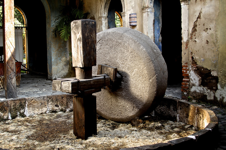 Tequila, Jalisco