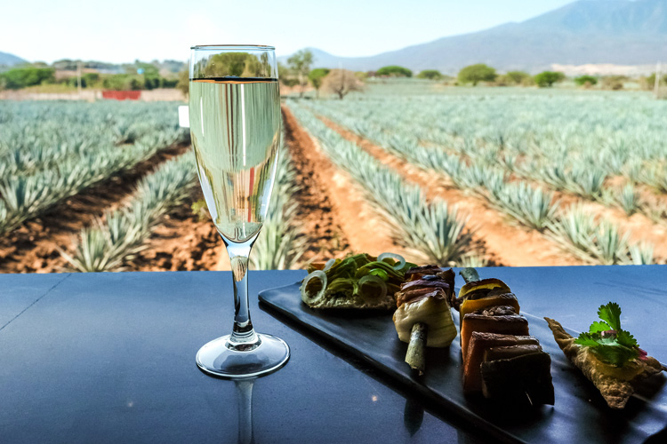 Tequila, Jalisco