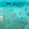 Mayan Wind Fest 2024