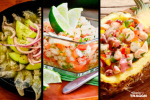 recetas frescas