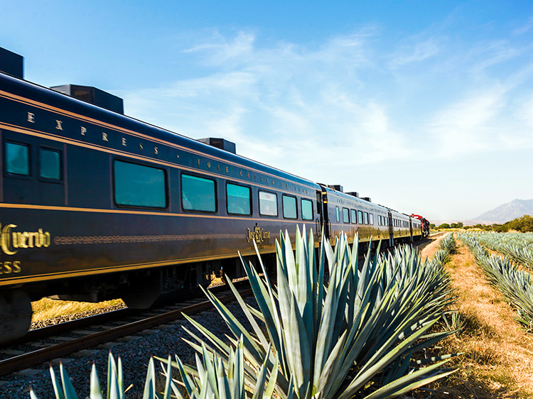 Mundo del Tequila