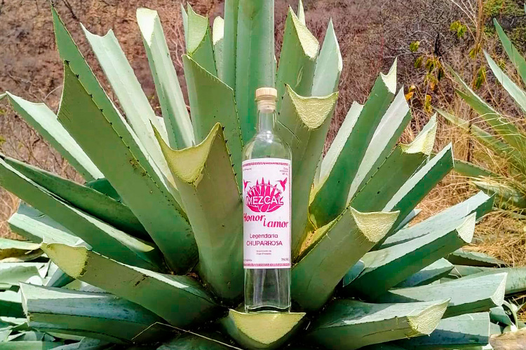 producto gastron&oacute;mico artesanal