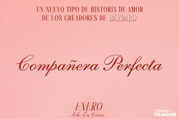 Compañera perfecta