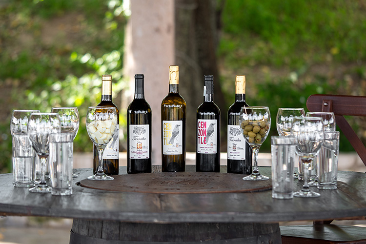 viñedos de Jalisco