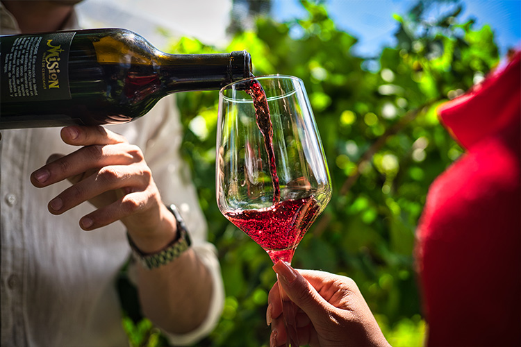 Vino Fest Chihuahua