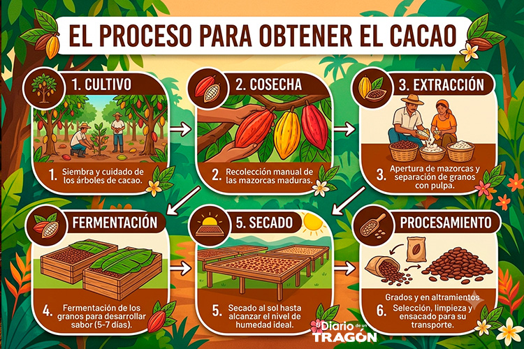 cacao