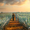 Los Altos de Jalisco Tourist Route
