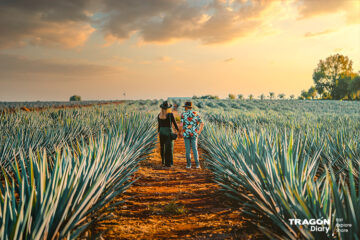 Los Altos de Jalisco Tourist Route